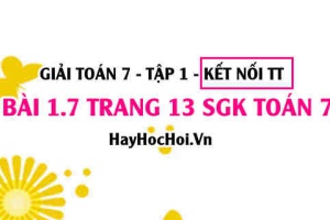 Bài 1.7 SGK Toán 7 tập 1 Kết nối tri thức